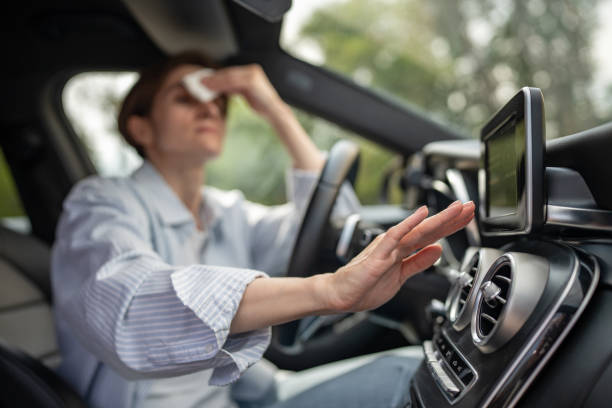 Best Central Air Repair  in Leo Cedarville, IN